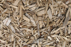 biomass boilers Wideopen