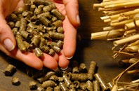 free Wideopen biomass boiler quotes